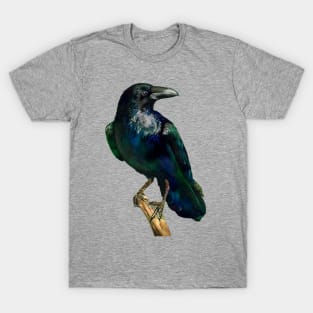 Quoth the Raven T-Shirt